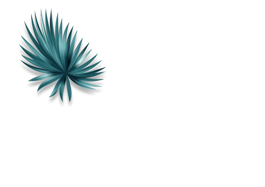 Form Image